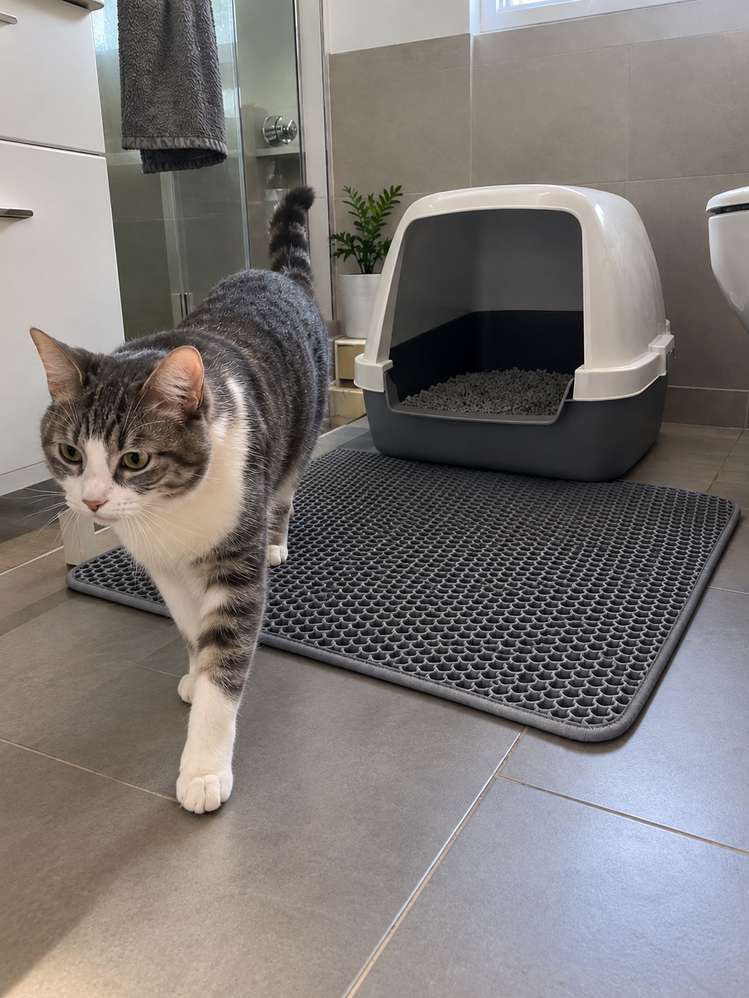 Gris, en el baño